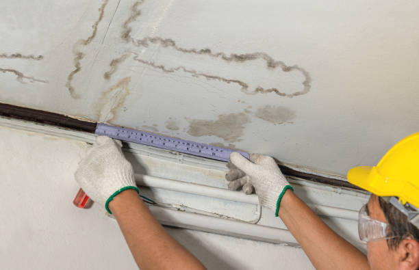 Reliable Structural Drying contractor in Custar, OH by Water Damage Irwin